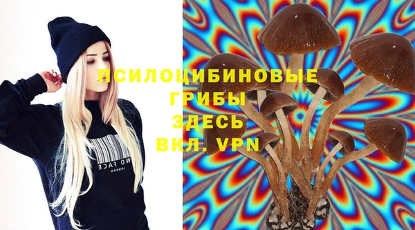 ALPHA PVP Заволжье