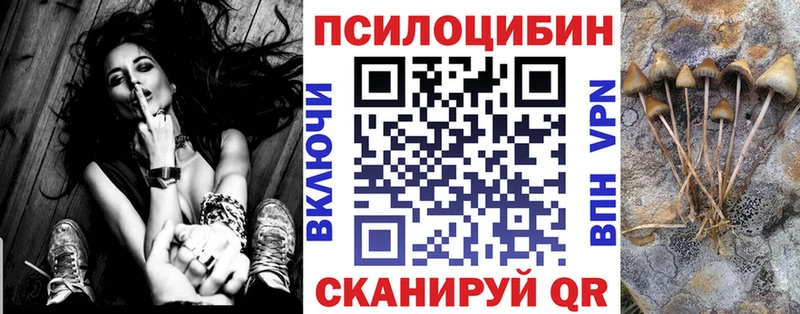 где можно купить наркотик  Инза  Псилоцибиновые грибы MAGIC MUSHROOMS 
